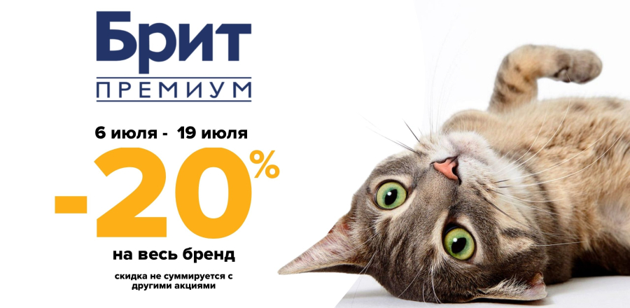 new Brit премиум
